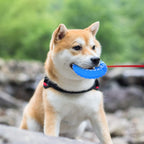 Pet Teether Cooling Chew Toy For Dogs