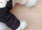 Pet Poodle Dog Clothes Cotton-padded Coat Four-leg Fleece-lined