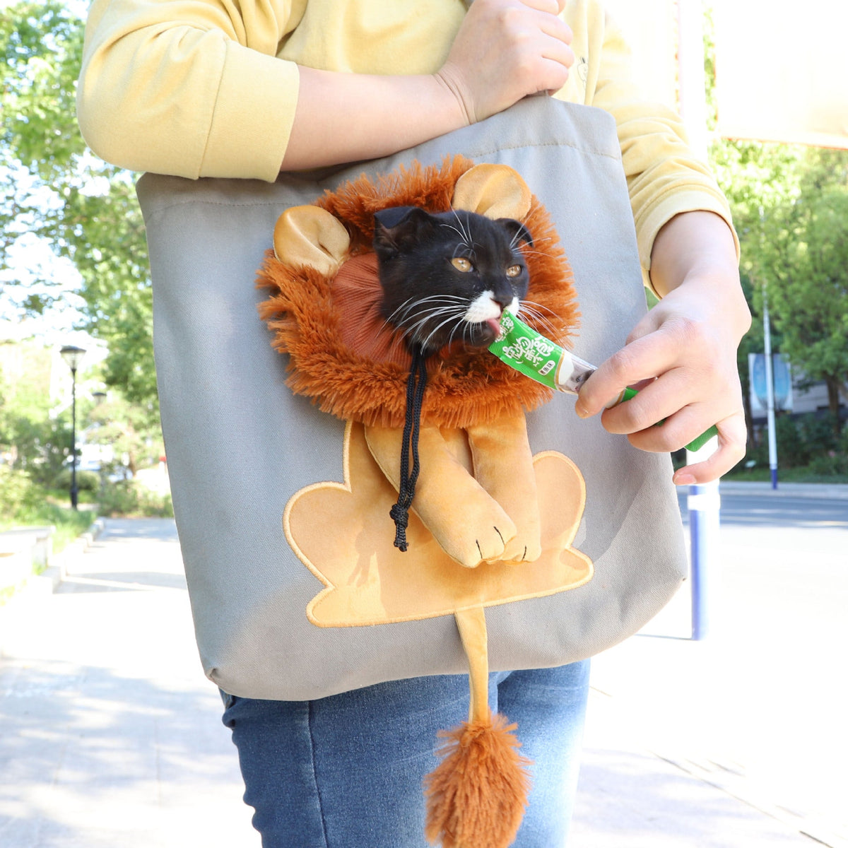Soft Pet Carriers Lion Design Portable Breathable Bag