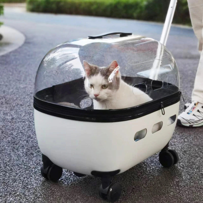 New Transparent Capsule Pet Travel Trolley Carriers Bag Stroller
