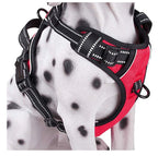 Medium And Large Dog Pet Chest Harness Breathable Reflective Vest-style