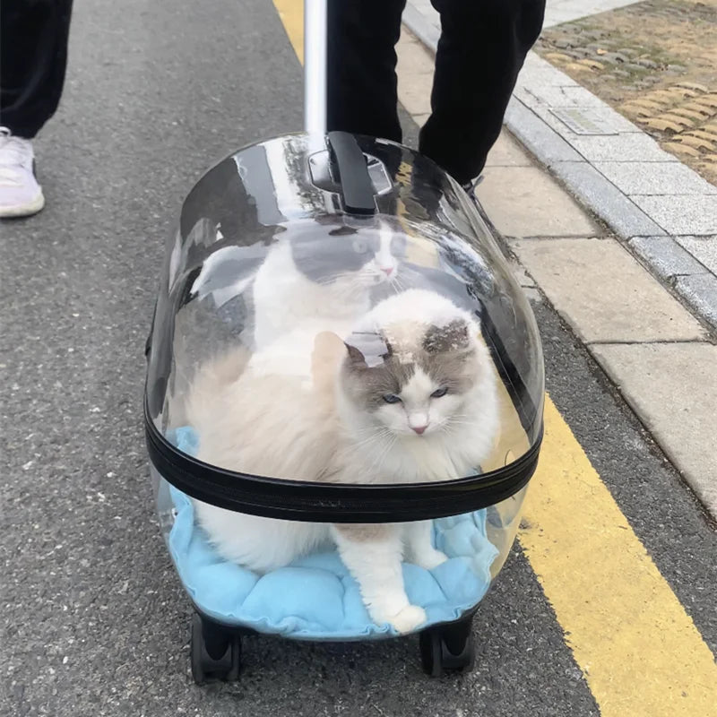 New Transparent Capsule Pet Travel Trolley Carriers Bag Stroller
