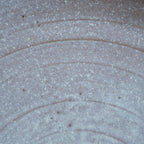 Horizon Dinner Plate