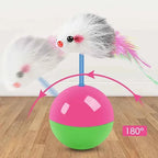 Cat Toys Set – Mouse & Teasing Interactive Pet Toys