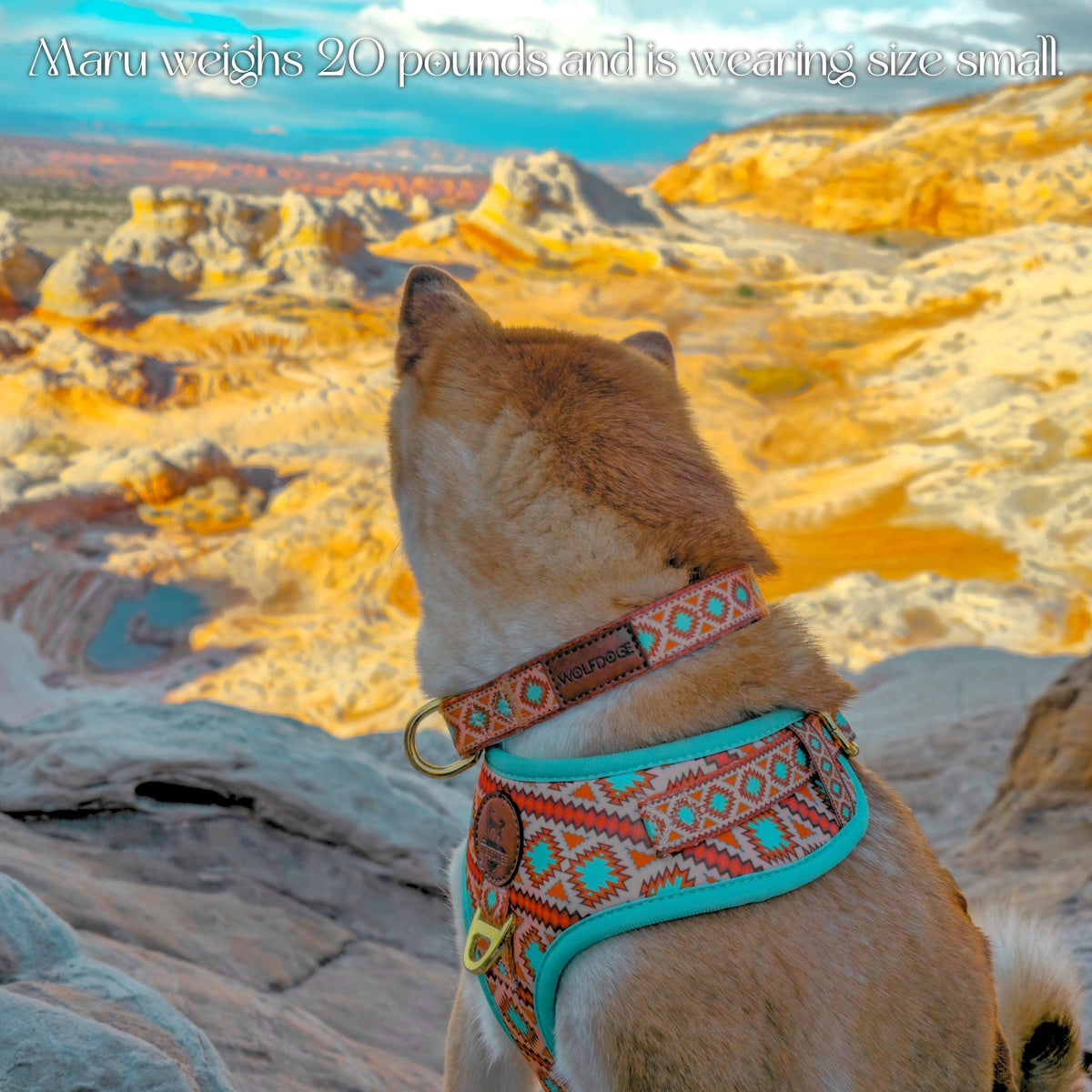 Southwest Spirit Harness