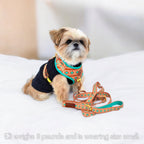 Southwest Spirit Harness