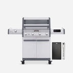 Eminence 405 | Chic Clearview® Smart Stainless Gas Grill