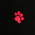 Funny Pet LED Laser Toy Cat Laser Toy Cat Pointer Light Pen